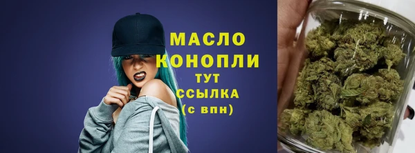 амф Туринск