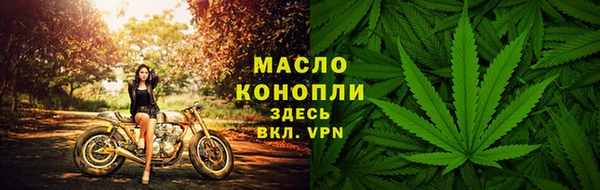 спиды Горняк