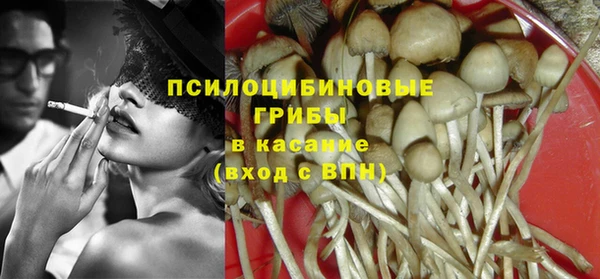 прущие крисы Вяземский