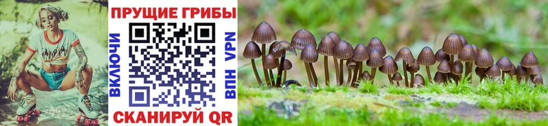 Псилоцибиновые грибы ЛСД  купить  сайты  это официальный сайт  Первомайск 